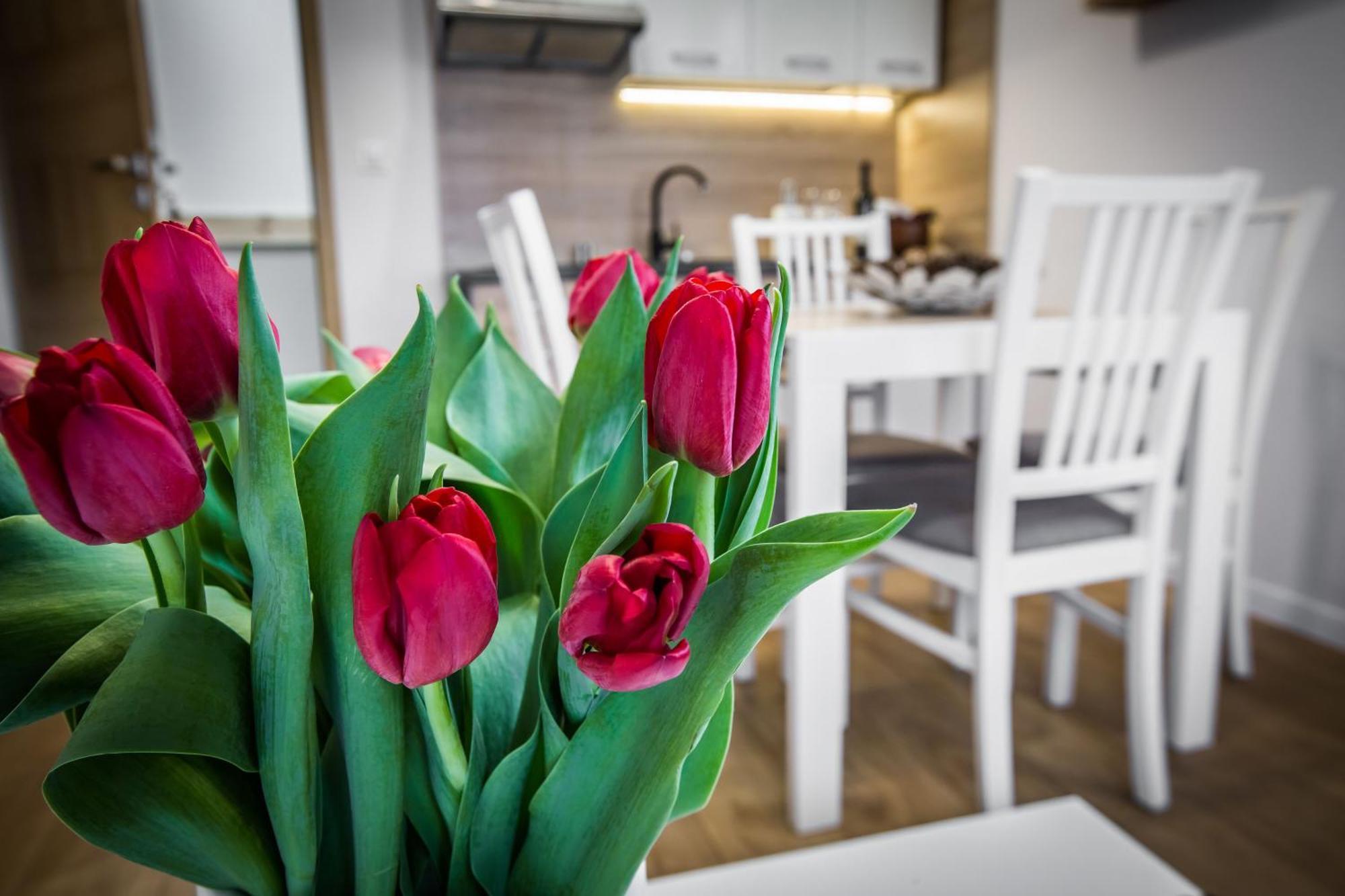 Apartamenty Przy Skoczni Szczyrk Bagian luar foto